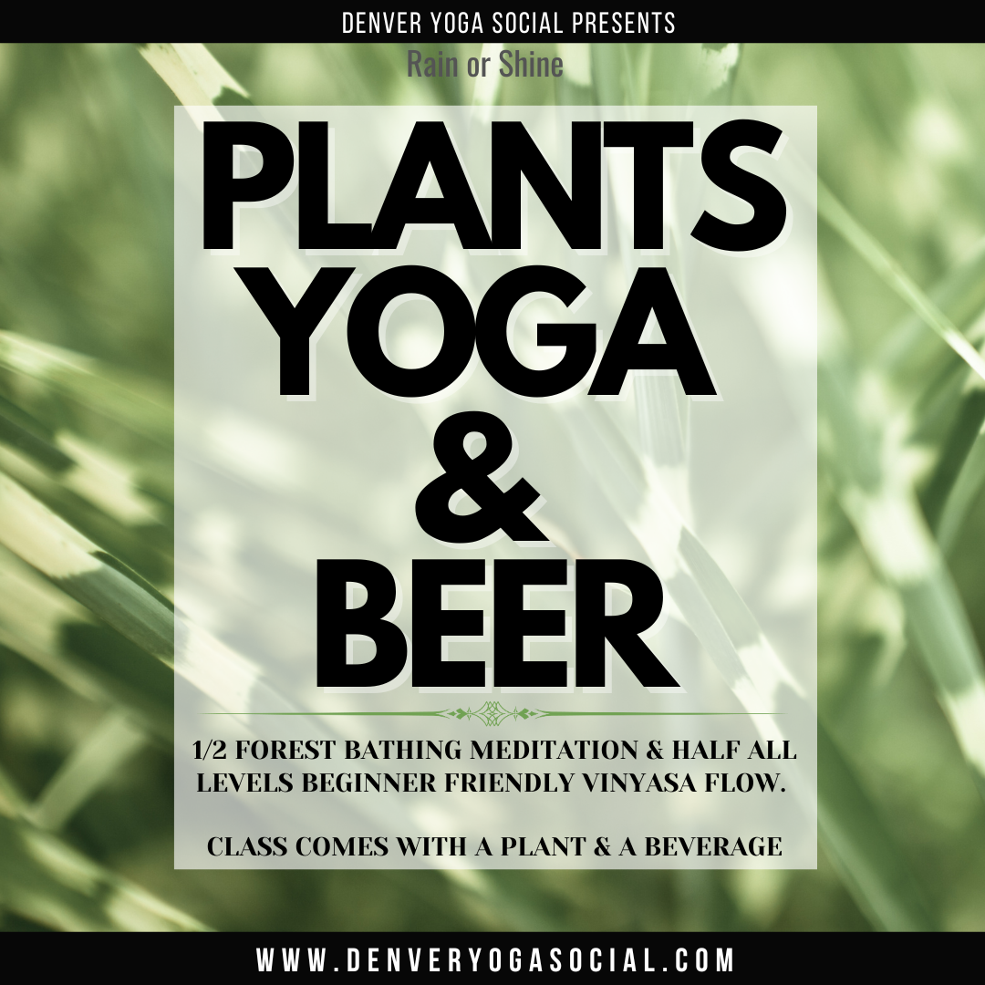 Plants, Yoga & Beer